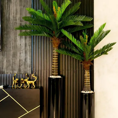 Studio Beachscape *